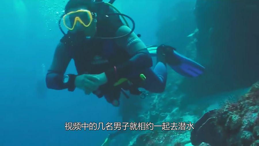 救援青龙